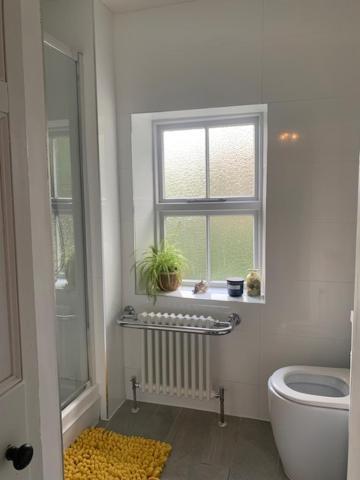Villa Dolgellau Townhouse 2 Minutes To Town & Mountains Exterior foto